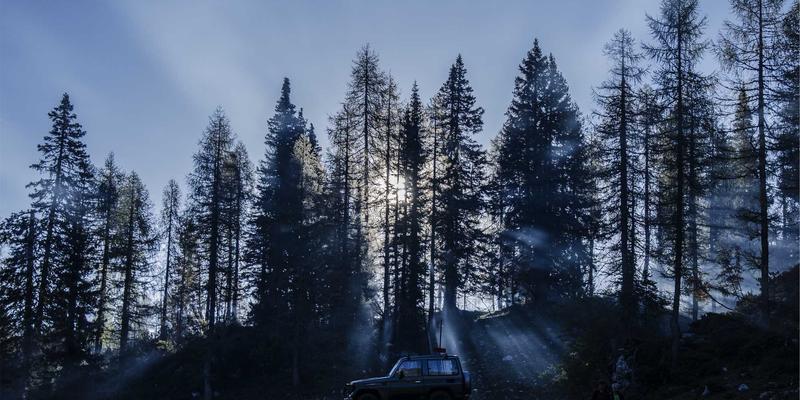 Y-福服定制：为孕期职场女性打造专业舒适的职业装解决方案