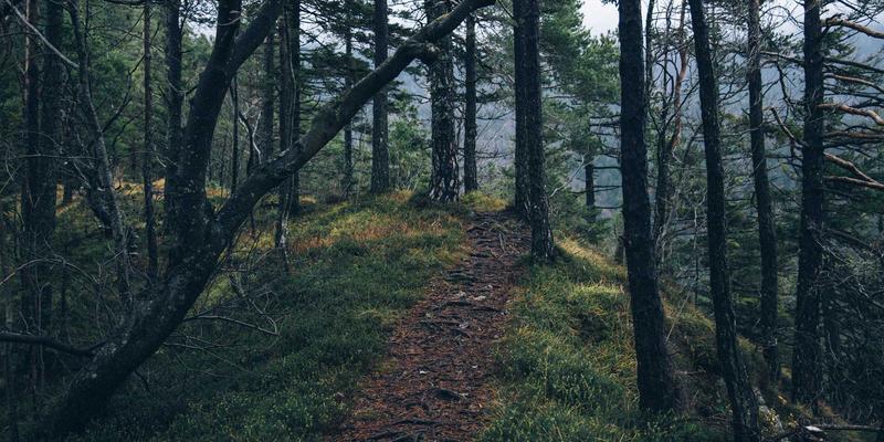 从工作服供应到品牌名片：Y-福服职业装如何诠释酒店文化与客户体验