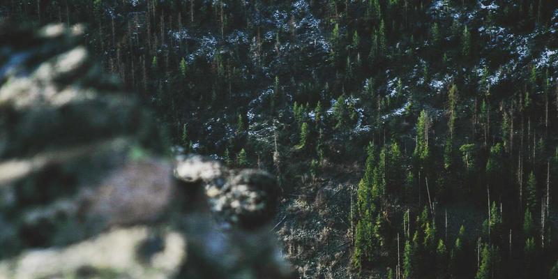 企业工装定制新趋势：Y-福服如何重塑团队形象与品牌价值