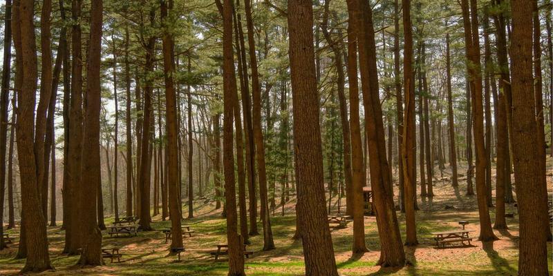 企业工装定制新趋势:Y-福服如何重塑工作服供应体系