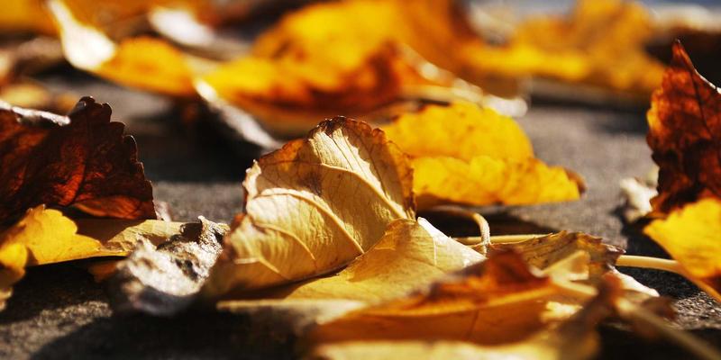 公益组织与志愿者服装定制：低成本、高识别度的团体服装解决方案