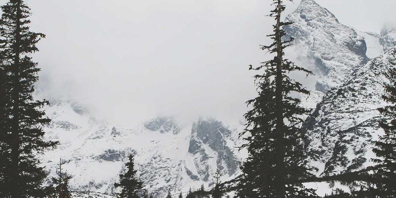 大数据如何重塑定制服装与职业装市场：通过用户行为分析精准预测款式趋势