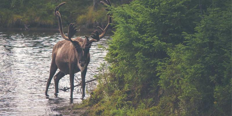 工作服供应新纪元：服装定制如何借力3D建模实现虚拟试衣与精准打版