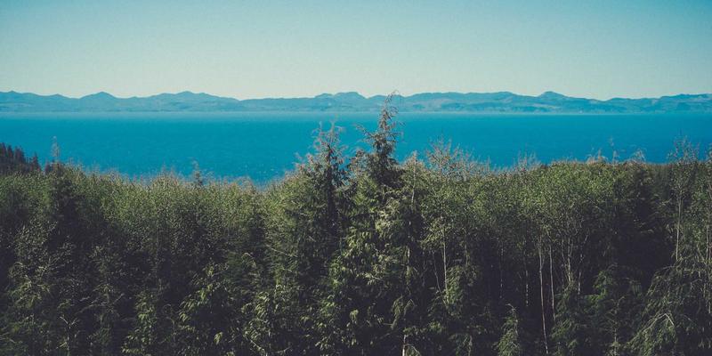 智能穿戴与服装定制融合：Y-福服引领企业工装新纪元