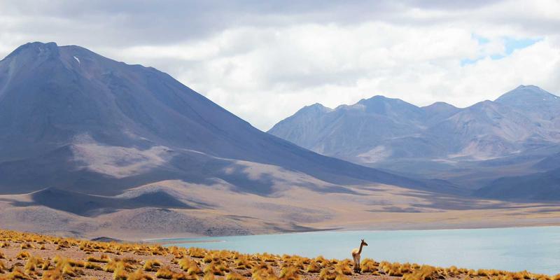 服装定制77:工作服供应如何赋能企业工装与职业装战略升级