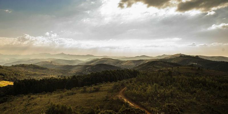 职业装定制新思路：Y-福服如何为餐饮品牌打造高辨识度与安全屏障