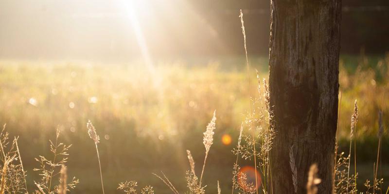 舞台表演服装定制：如何通过专业服装塑造角色灵魂与增强戏剧张力